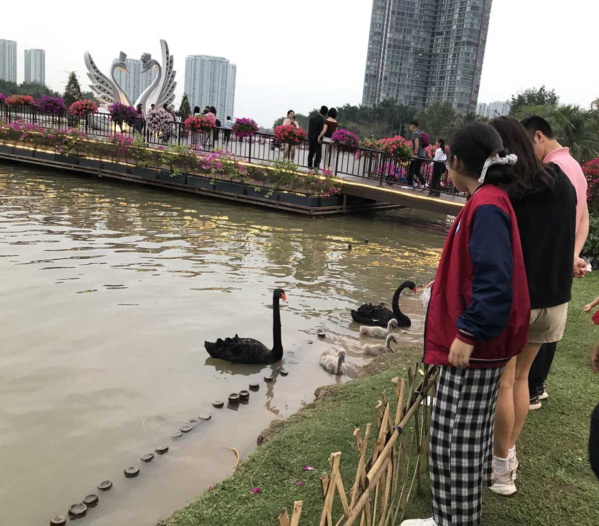 Thôi, đến lúc thú nhận rồi - Chúng ta đã hiểu sai về ánh nắng mặt trời (Kỳ 3)